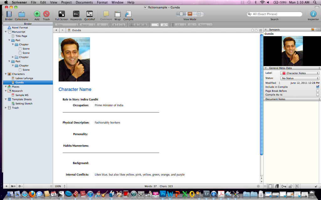 Screenshot of Scrivener Character Layout